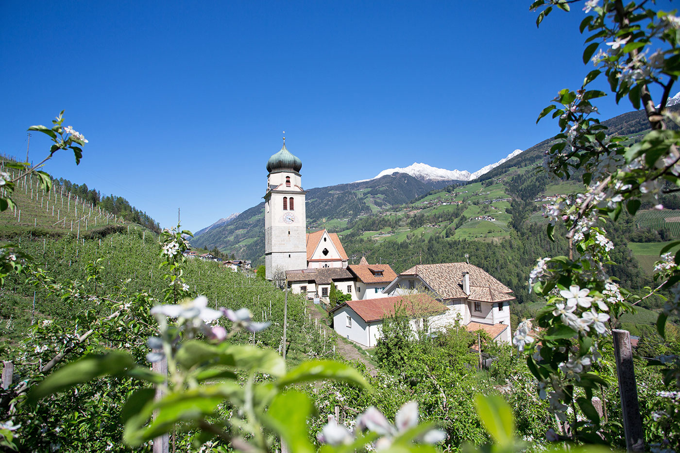 Fruehling Passeiertal 02