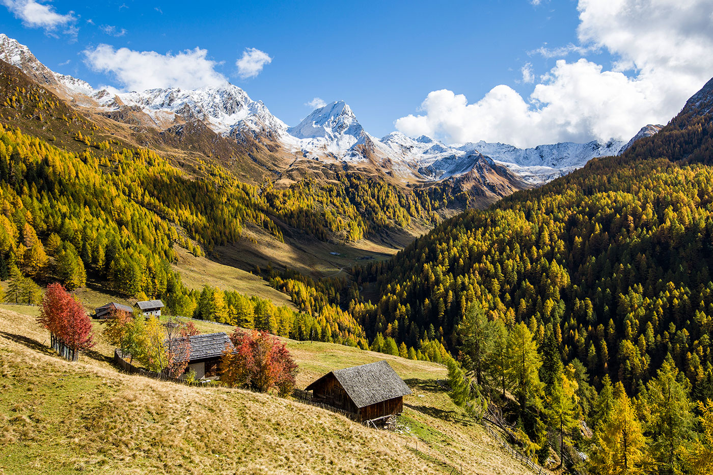 Autunno dorato 02